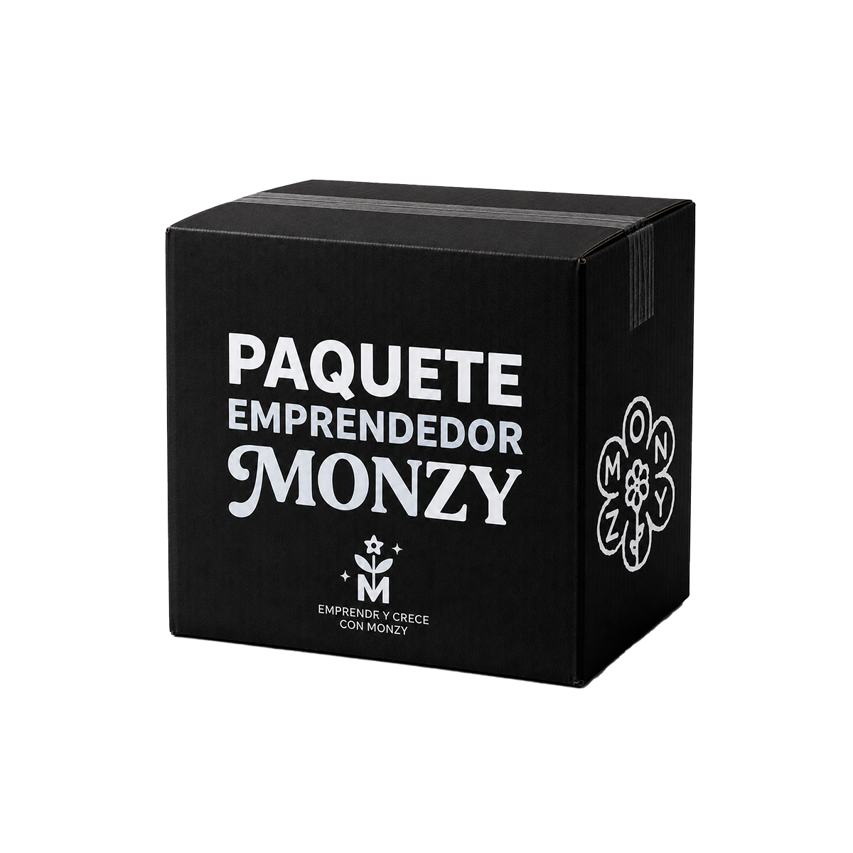 PAQUETE EMPRENDEDOR MONZY #1